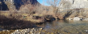 La Diputación saca a licitación el acondicionamiento de las márgenes del Esla y del arroyo Mirva en Burón