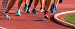La Diputación destina 180.000 euros al fomento de actividades físico-deportivas de alto nivel en la provincia