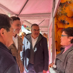 Feria Productos Gijon 4