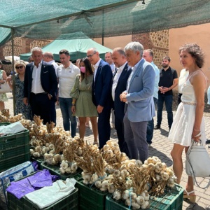 Feria del Ajo 2