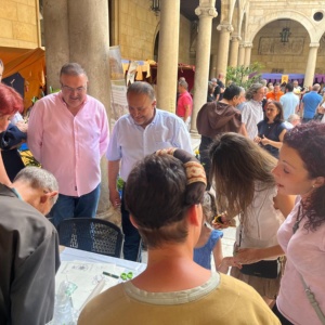 Fiesta Medieval 4