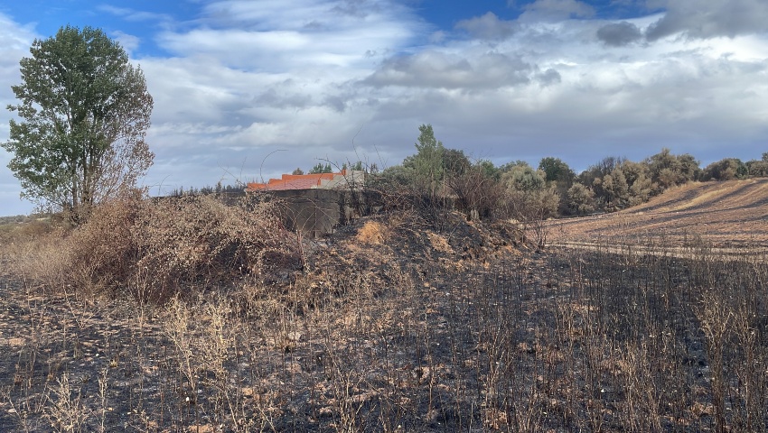 La Diputación de León remite a la Junta el inventario de daños por los incendios comunicados por los ayuntamientos
