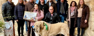 El patio del Palacio de los Guzmanes acoge la entrega de premios del Campeonato Provincial de Mastín