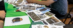 El Instituto Leonés de Cultura y la Fundación Cerezales abren la sexta edición de sus residencias de investigación ‘Nudo/ Knot’