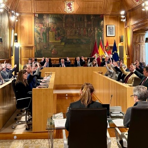 Pleno noviembre 2