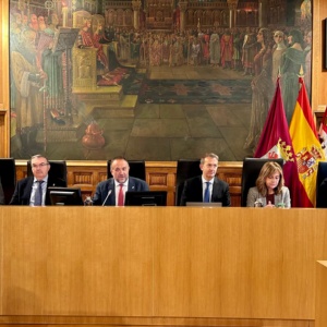Pleno noviembre 3