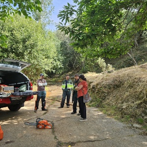Prevención de incendios 1