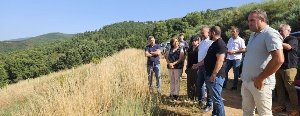 La Diputación avanza en la plantación de 40.000 castaños con una inversión de 3,2 millones de euros