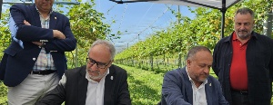 La Diputación aumenta hasta los 108.000 euros la dotación anual para el Banco de Tierras del Consejo Comarcal del Bierzo