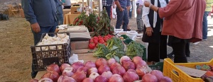 La Diputación de León respalda con 400.000 euros la organización de ferias agropecuarias en la provincia