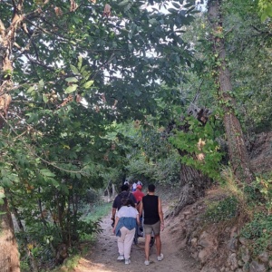 2453012_018valle4